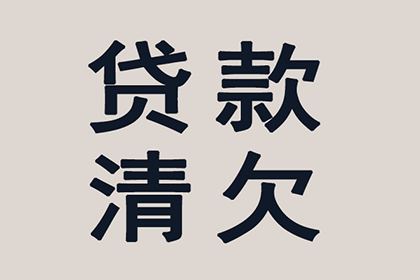 逾期借款法院不强制追偿如何应对？